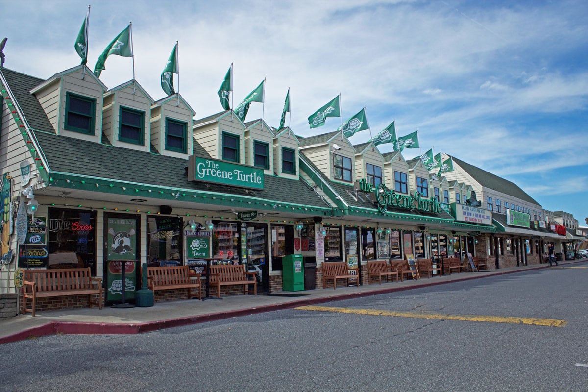 5-Green-Turtle